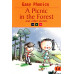 Easy Phonics a Picnic in the Forest by ''Pegasus Team''